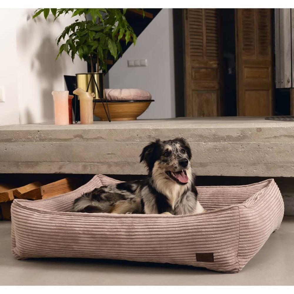 Conçu par Lotte conçu par Lotte Dog Basket 80x70x22 cm rose