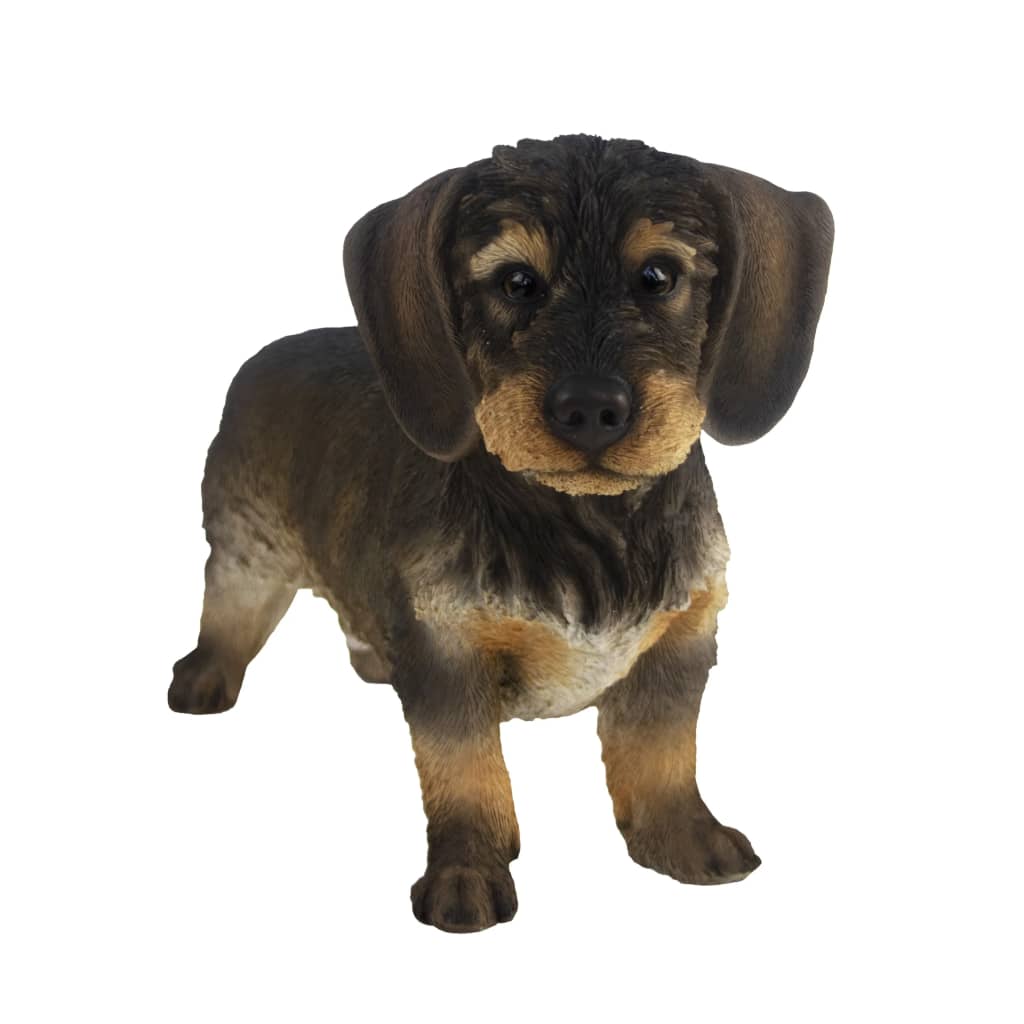 Esschert design Esschert design wire-haired dachshund 50x15x27.8 cm