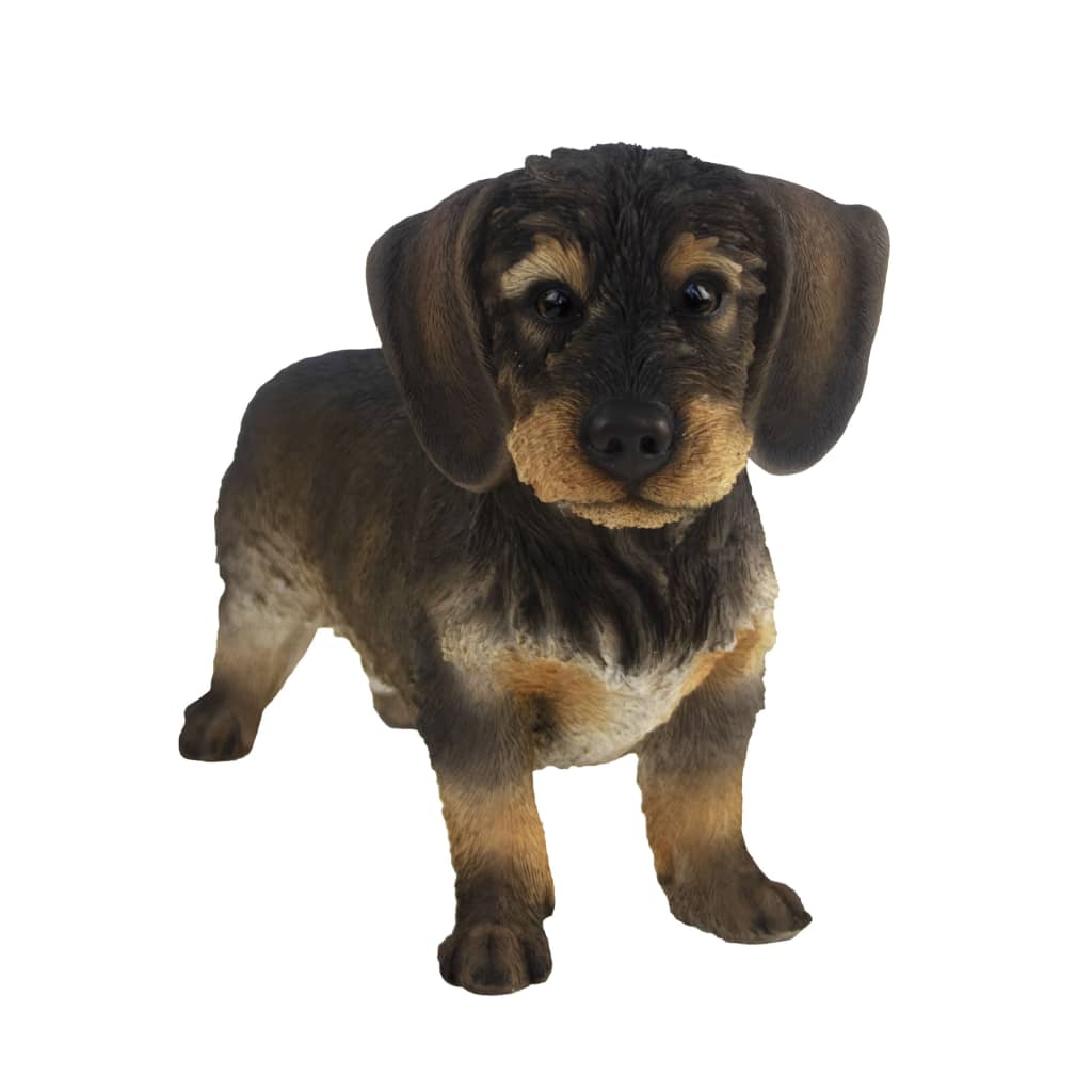 Esschert design Esschert design wire-haired dachshund 50x15x27.8 cm