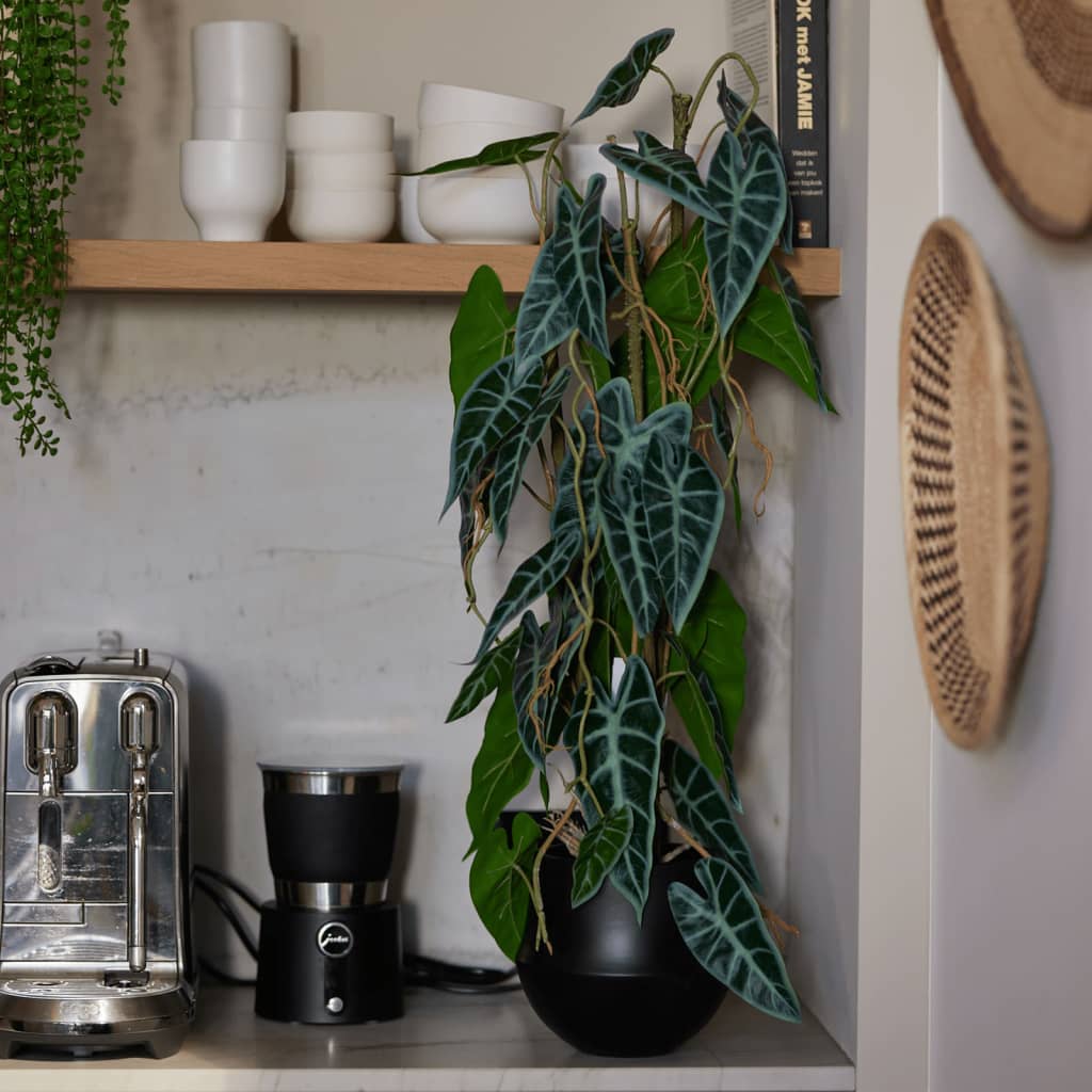 Szmaragdowa roślina sztuki w garnku 75 cm