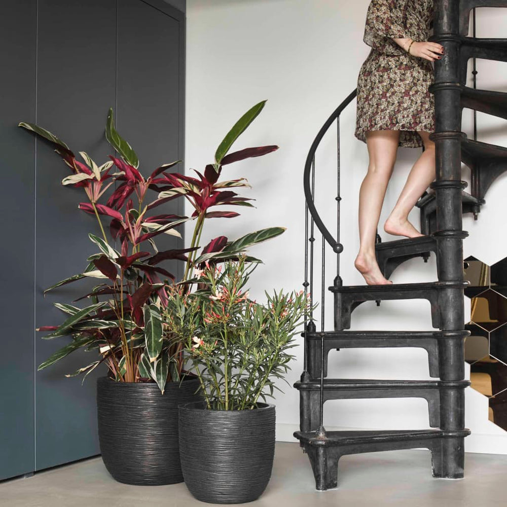 Capi Flowerpot Nature Rib 35x34 cm Black Kblr932