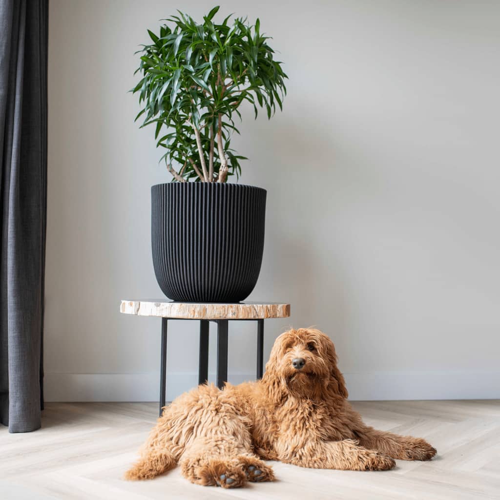 Capi planter groove 35x34 cm black