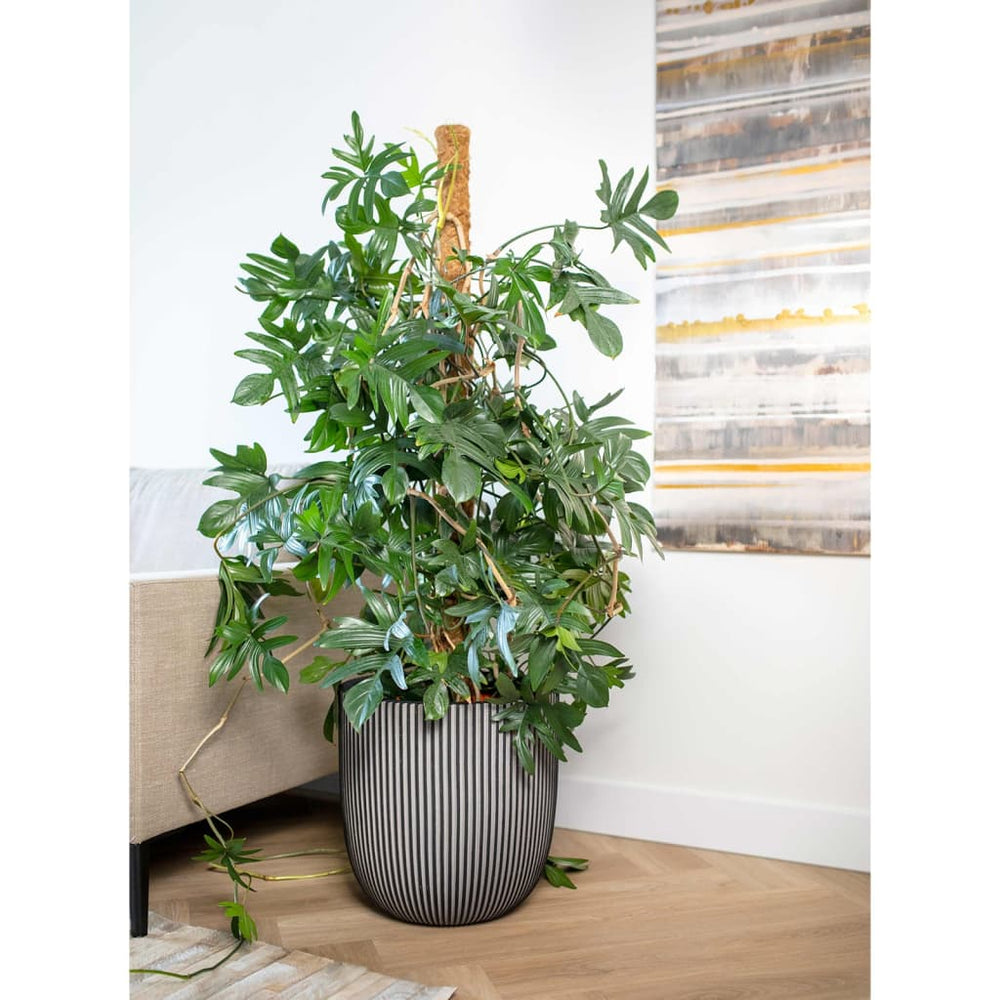 Capi planter groove 35x34 cm anthracite-colored