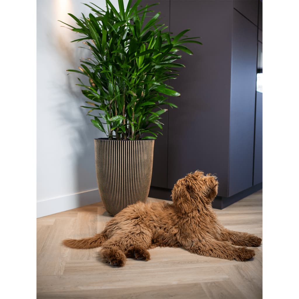 Capi Capi Flowerpot Groove elegant 34x46 cm black and gold colored