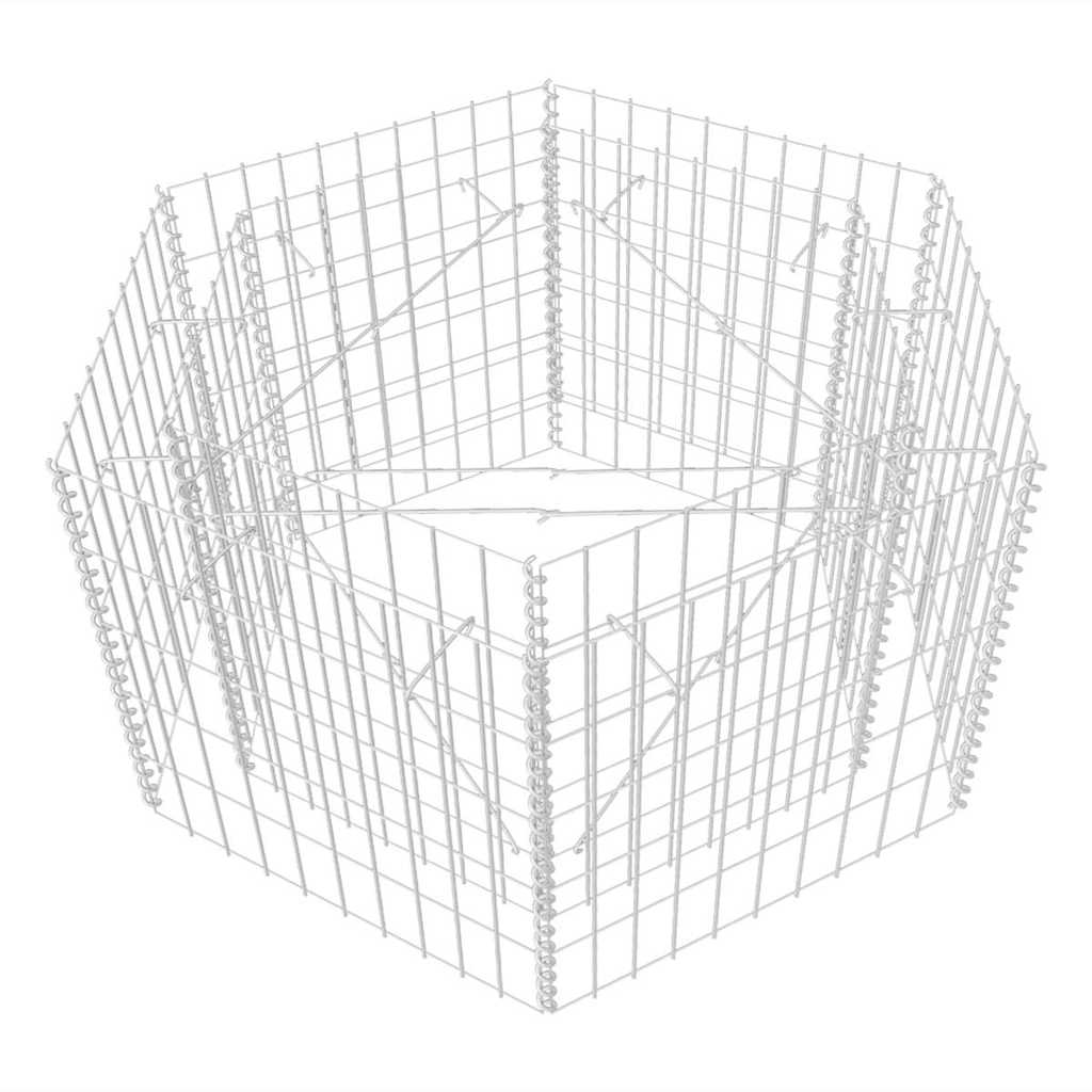 Vidaxl Gabion Planter Insentement Hexagonal 100x90x50 cm