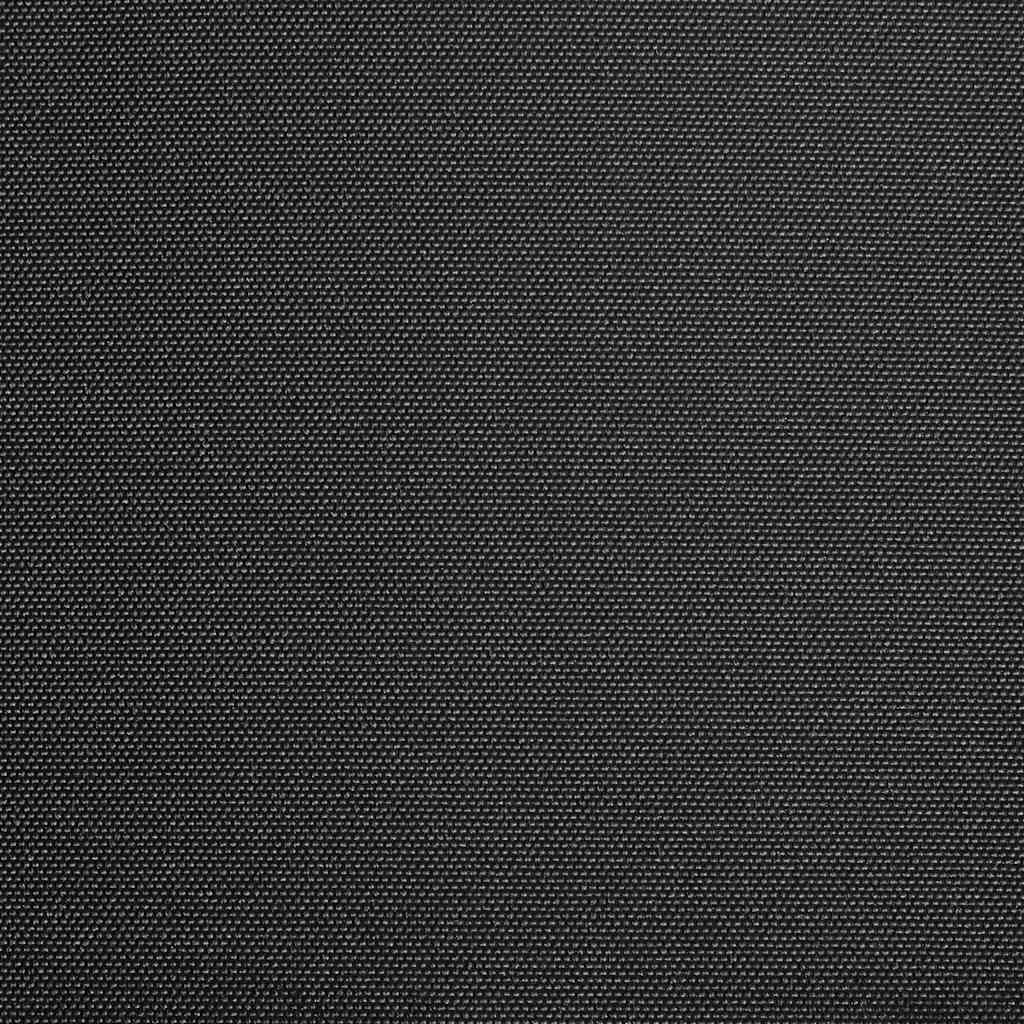 Vidaxl Laifeldoek 400x300 cm de lona antracita