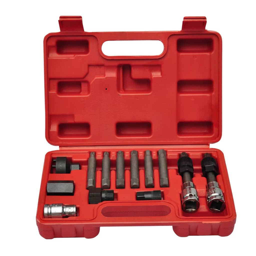 Vidaxl alternator car tool kit