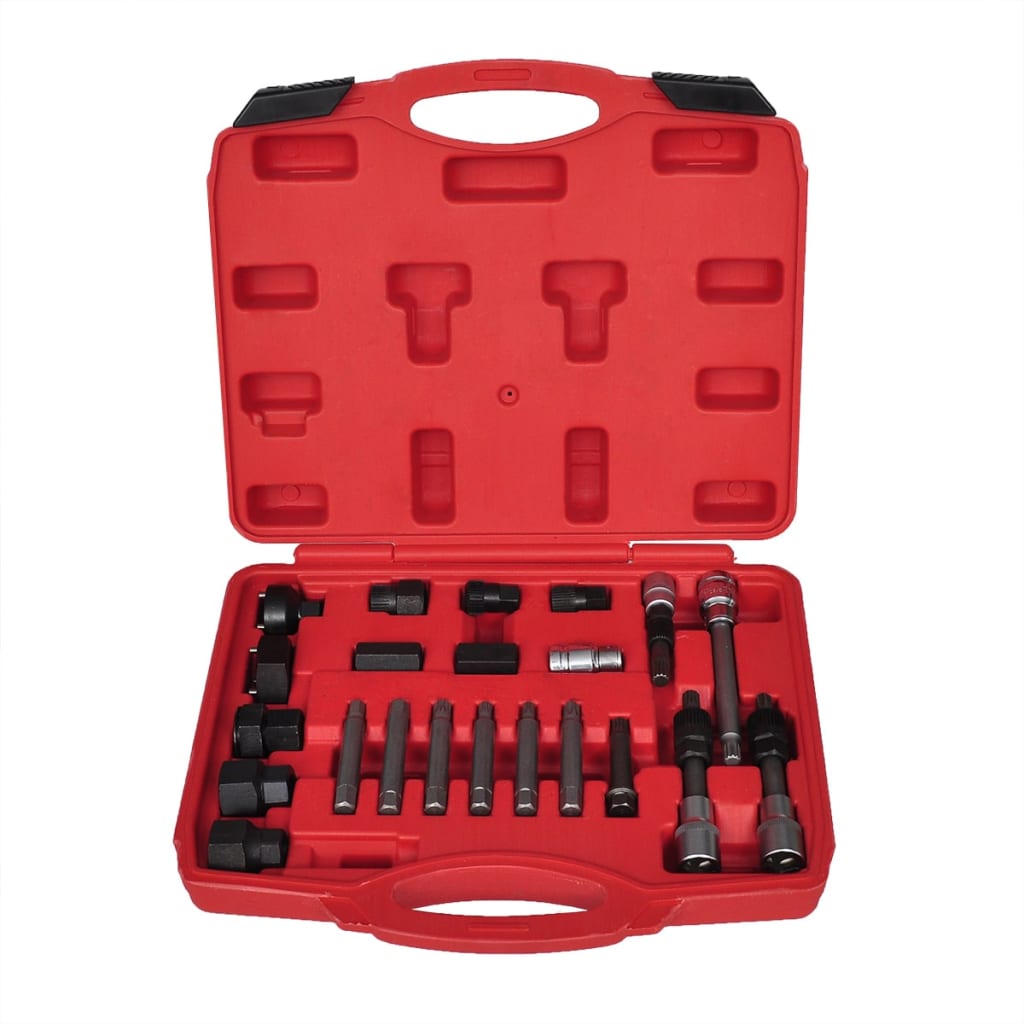 Vidaxl Alternator Car Tool Set 22 pcs