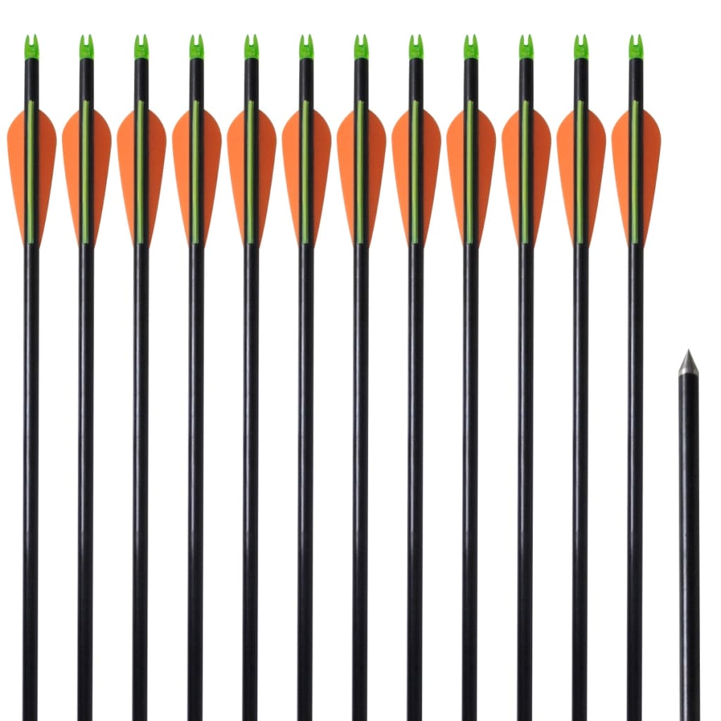 Vidaxl Arrows Compound Arch Standard 30 0,8 cm Fiber Optic 12 pièces