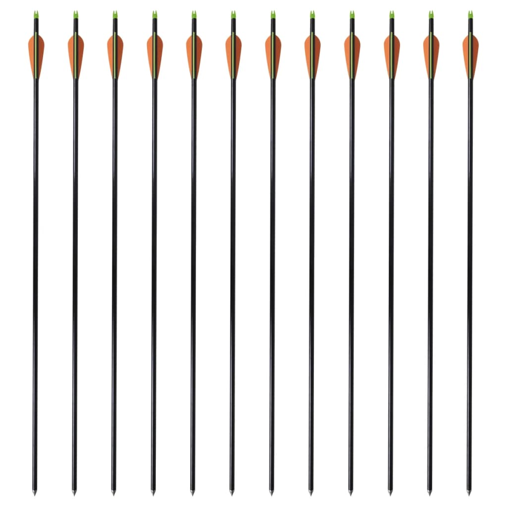Vidaxl Arrows Compound Arch Standard 30 0,8 cm Fiber Optic 12 pièces