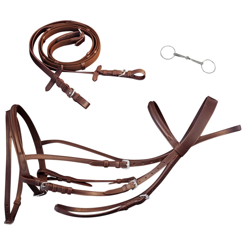 VidaXL bridle leather with combined noseband, reins and bit brown pony