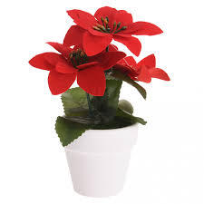 Other brands Christmas plant red pot ceramic