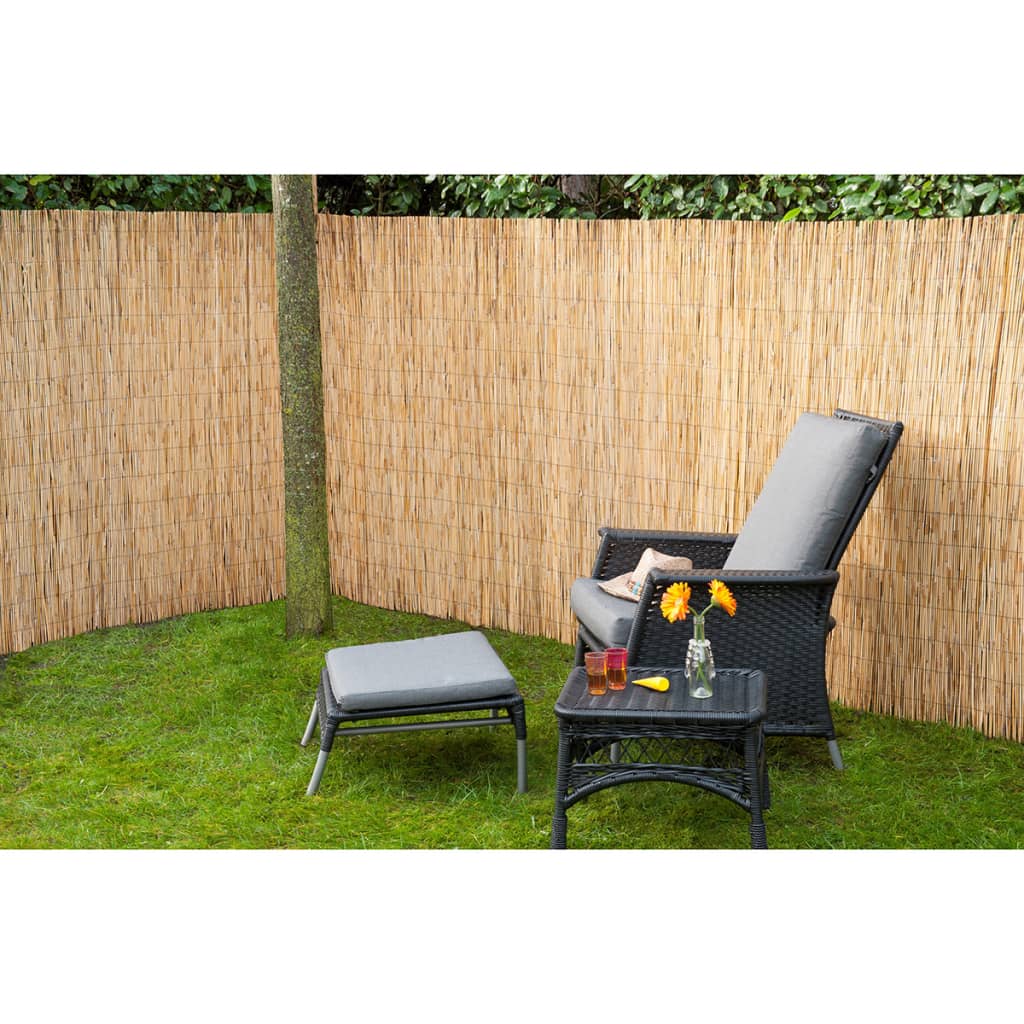 Nature Nature Garden Screens 2 pcs 500x150 bamboo reed