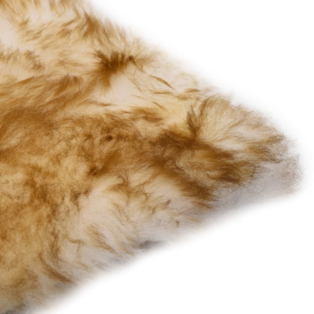 Vidaxl chair cushions 2 pcs 40x40 cm genuine sheepskin mottled brown