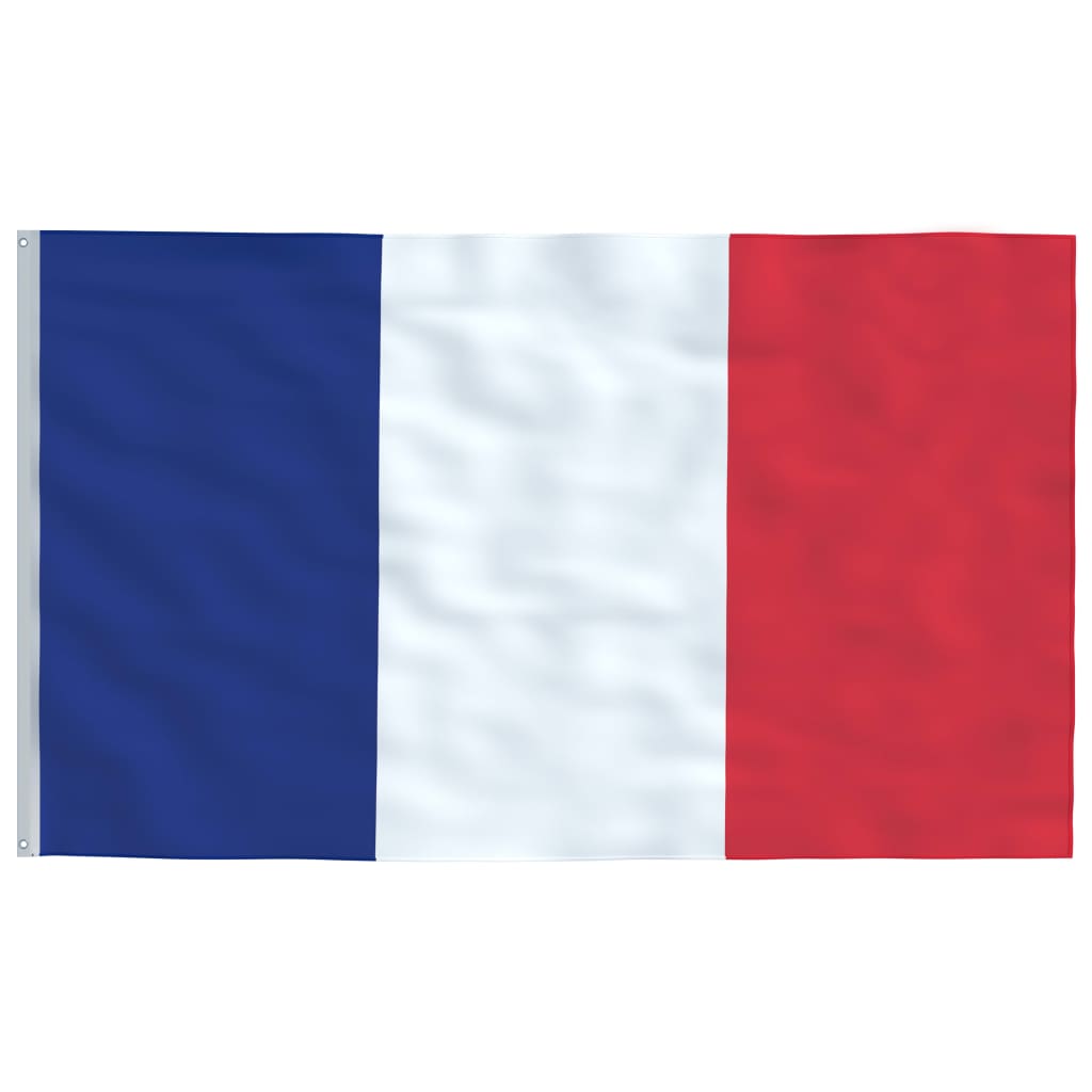 Vidaxl flag France 90x150 cm