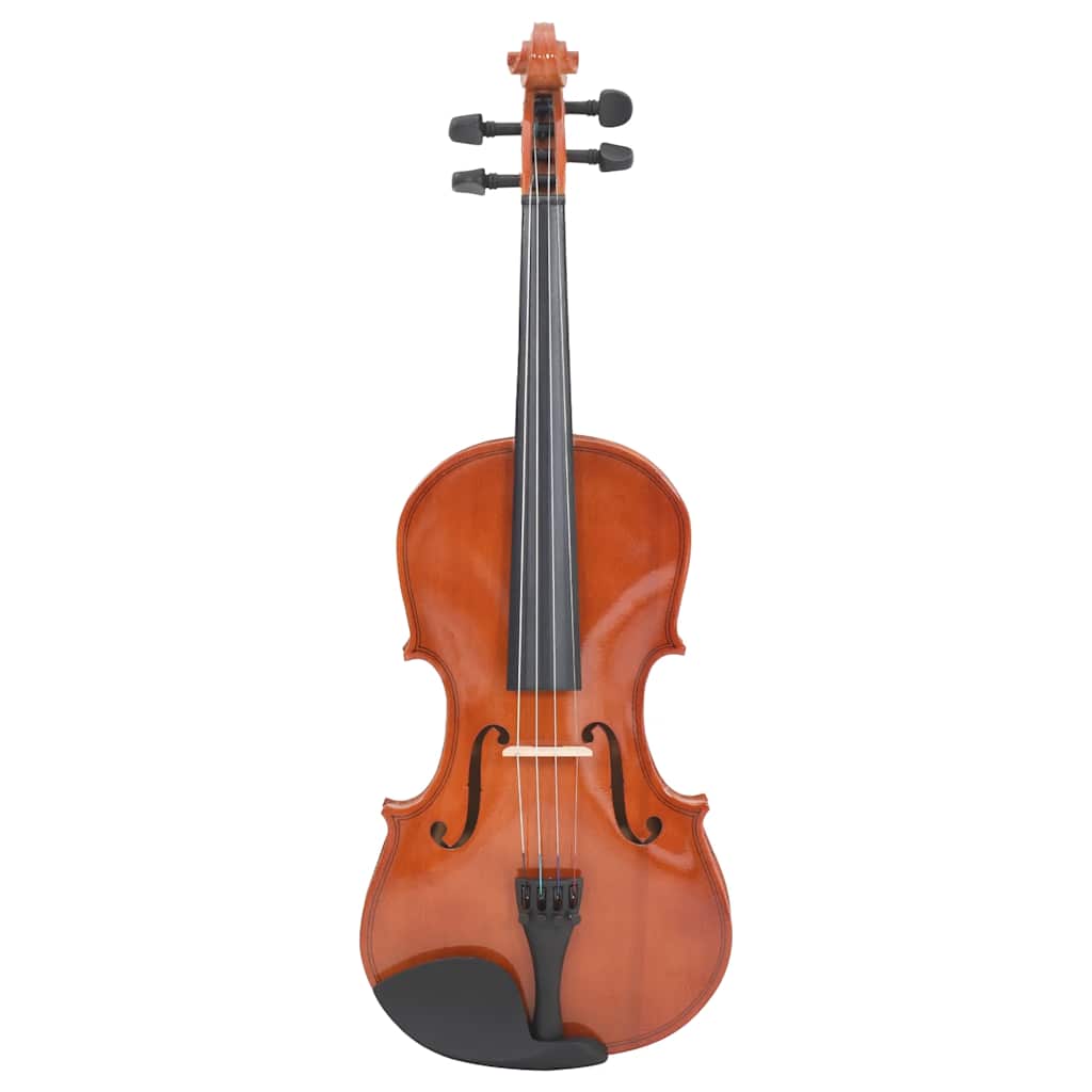 Vidaxl Violin -Set mit Bogen und Kinstun 4 4 Dunkelholz