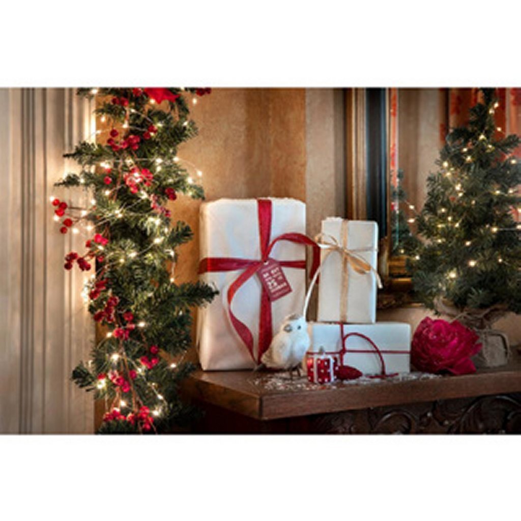 Lumineo Lumineo Micro LED Stringlights Lighting Silver Wire 24M 480 LEDs Outdoor Warm White