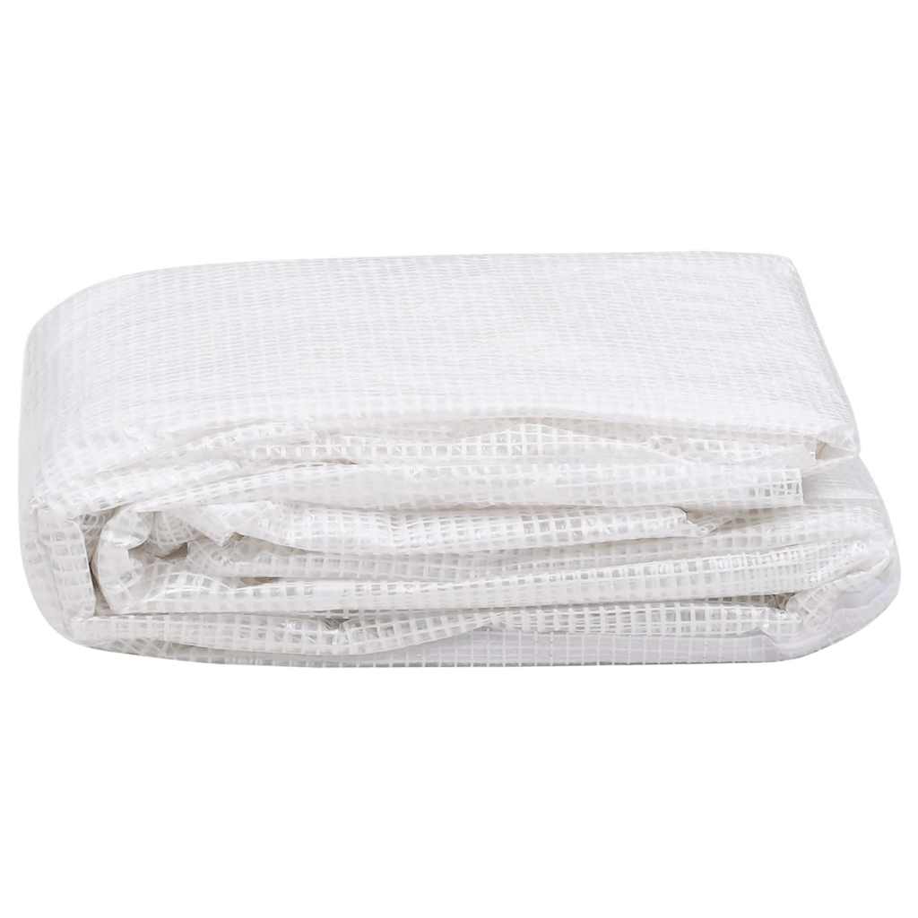 Vidaxl Kashoes Sostituzione (4,5 m²) 3x1.5x2 m trasparente