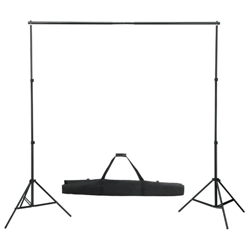 Vidaxl Photo Studio Conjunto de iluminación y fondo