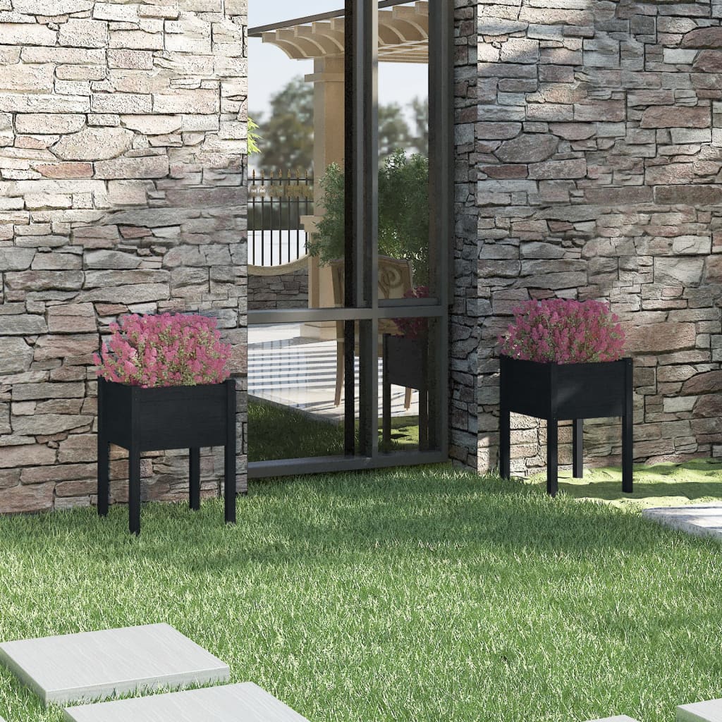 Vidaxl Sadza 2 St 50x50x70 cm stała sosna czarna