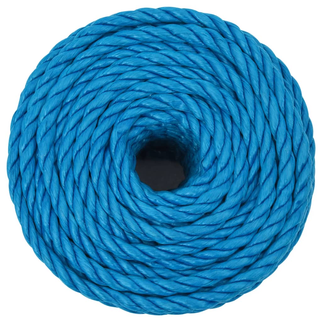 Vidaxl Werkouw 12 mm 25 m Polypropenblau