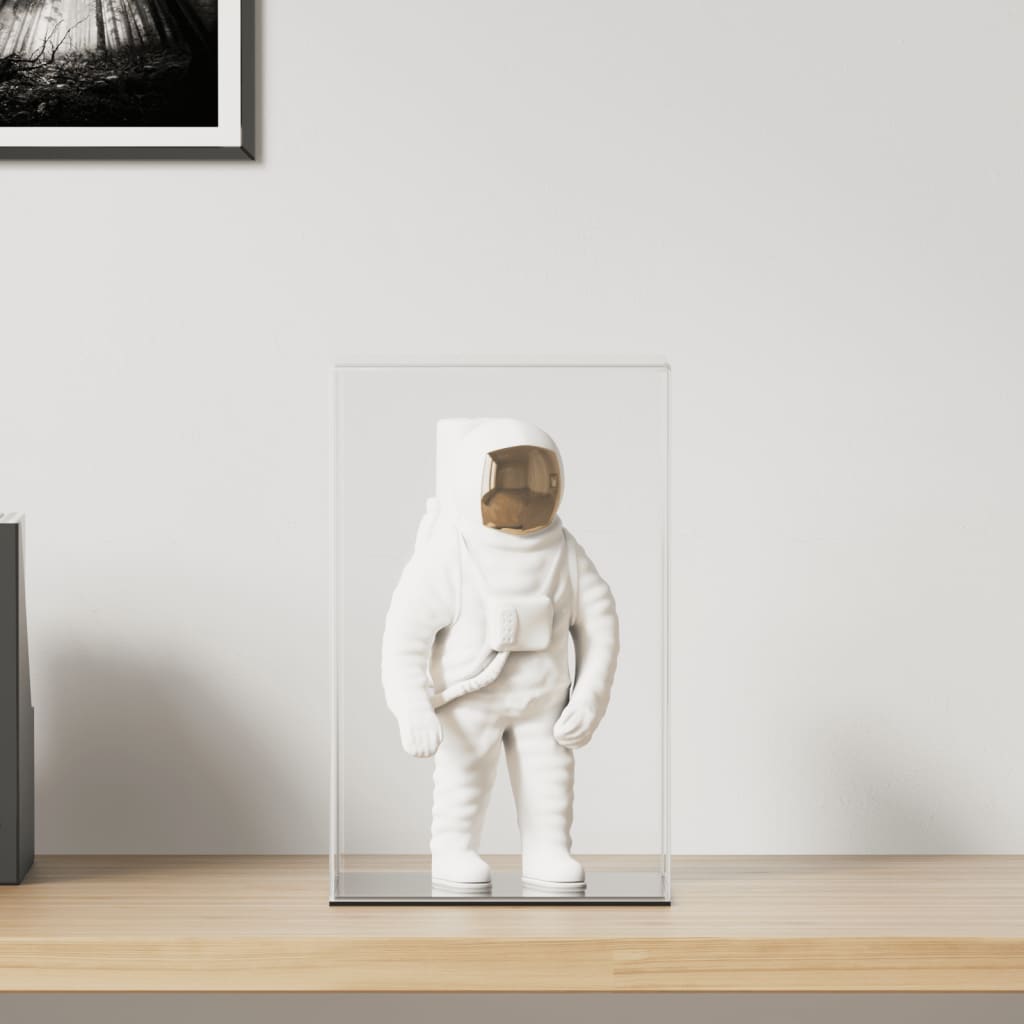 VidaXL display case transparent 22x18x35 cm acrylic