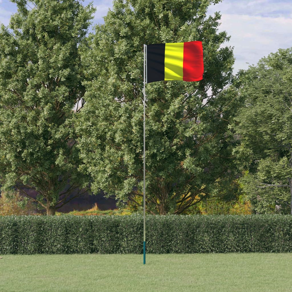 Vidaxl Fändel mat Flagpole 5.55 m Aluminium