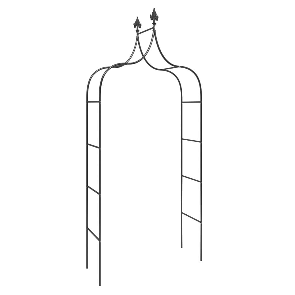 VidaXL Gartenbögen 2 Stück 120x38x260 cm Stahl schwarz