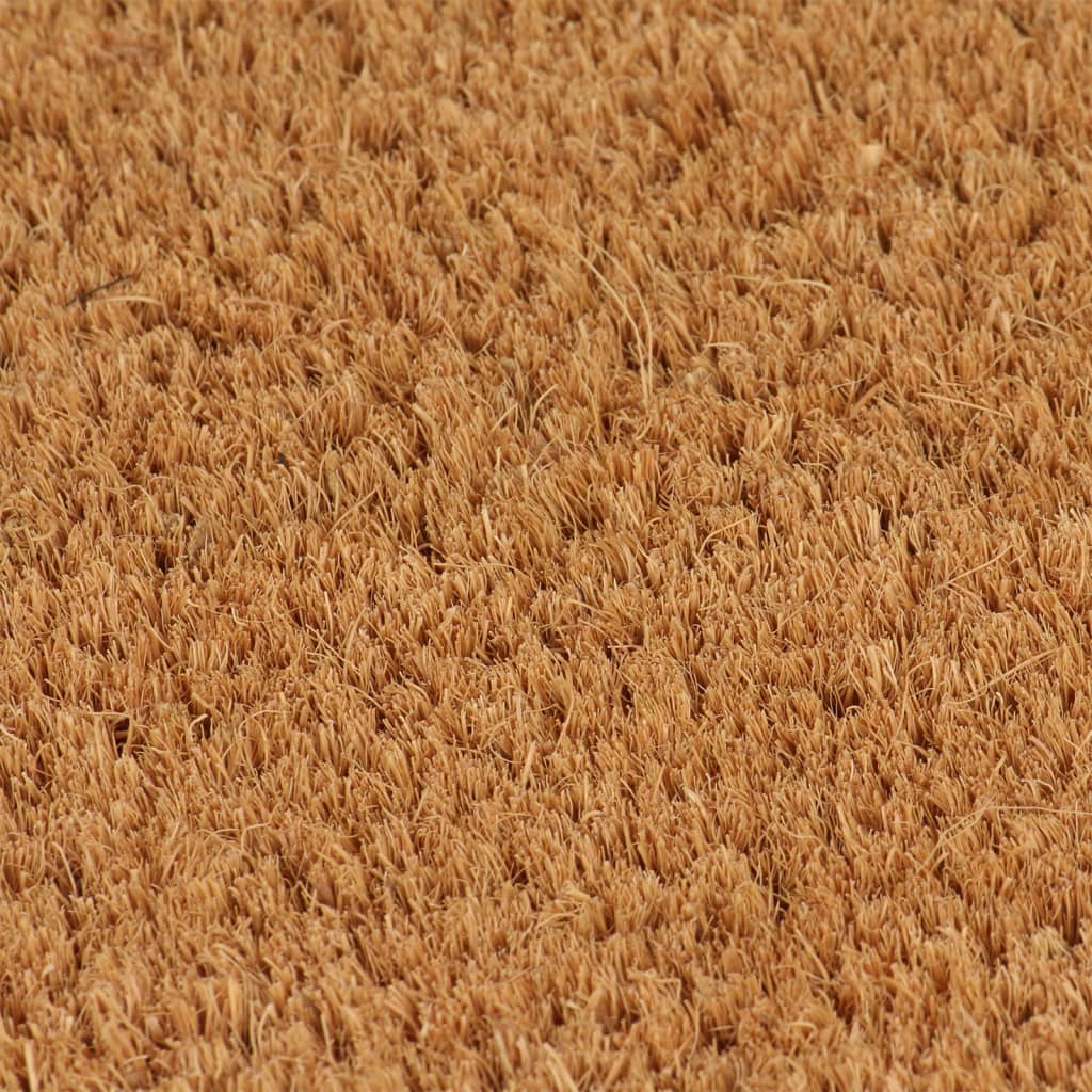 VidaXL Doormat 50x80 cm tufted coconut fiber natural