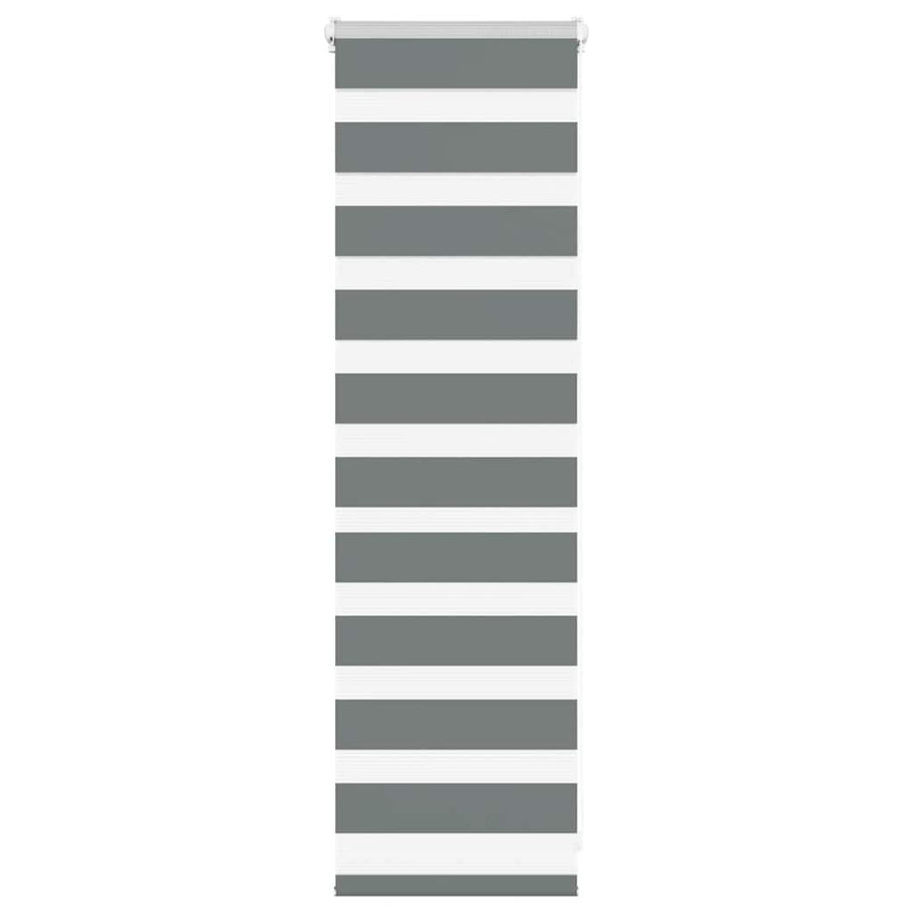 Vidaxl Zebra Rouleau aveugle 50x100 cm Largeur de tissu 45,9 cm gris foncé