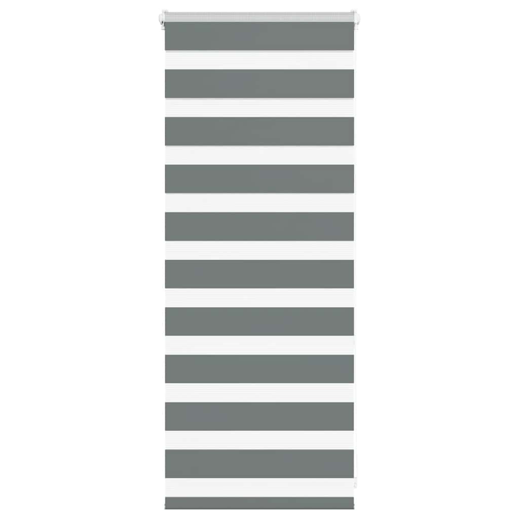 Vidaxl Zebra Roller Blind 55x100 cm Staubbreite 50,9 cm dunkelgrau