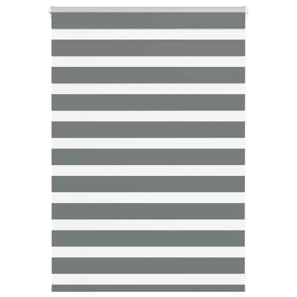 Vidaxl Zebra Roller Blind 100x100 cm Staubbreite 95,9 cm dunkelgrau