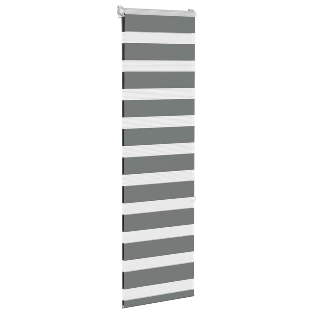 Vidaxl sebra rullblind 40x150 cm dammbredd 35,9 cm mörkgrå