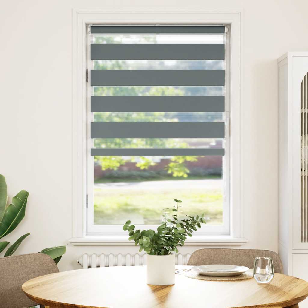 Vidaxl Zebra Roller Blind 70x150 cm Staubbreite 65,9 cm dunkelgrau