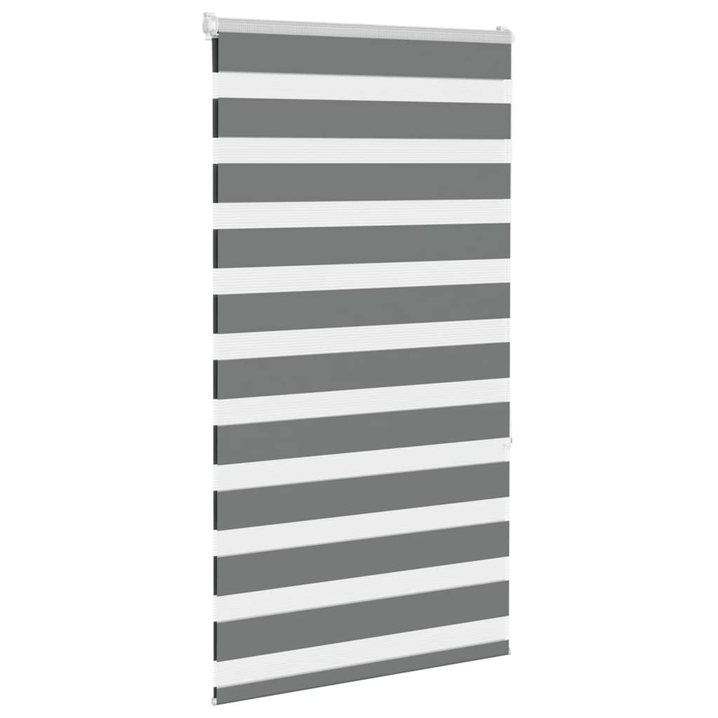 Vidaxl Zebra Roller Blind 70x150 cm Staubbreite 65,9 cm dunkelgrau