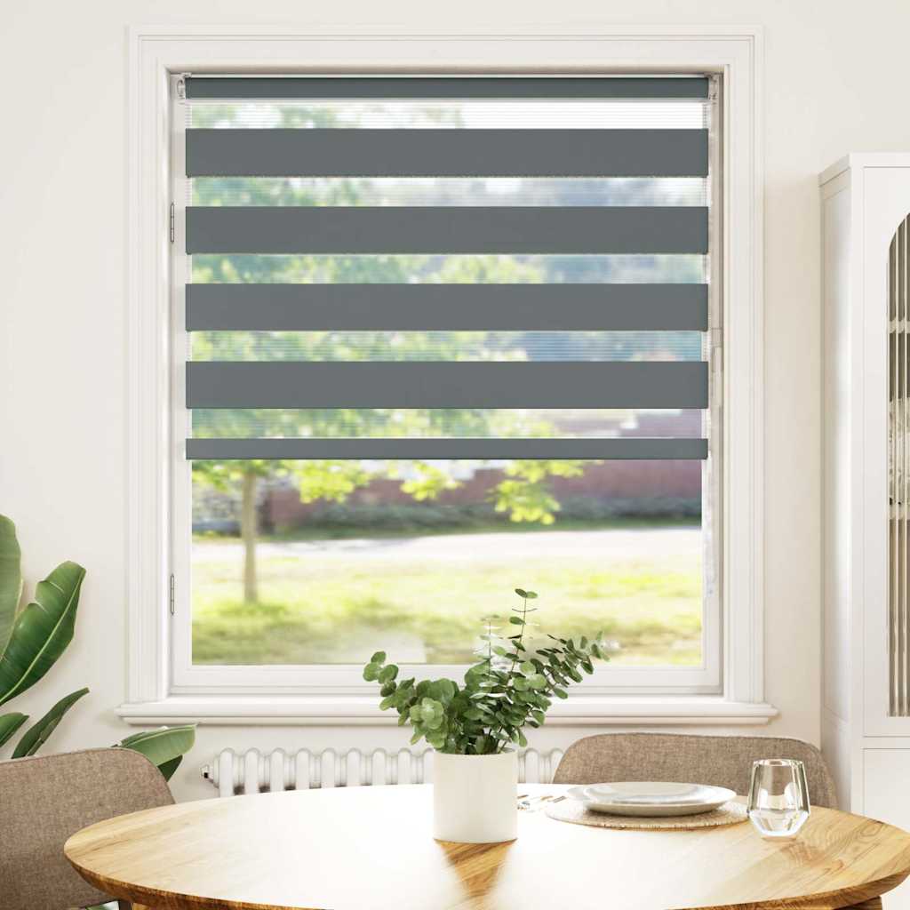 Vidaxl Zebra Roller Blind 100x150 cm Staubbreite 95,9 cm dunkelgrau