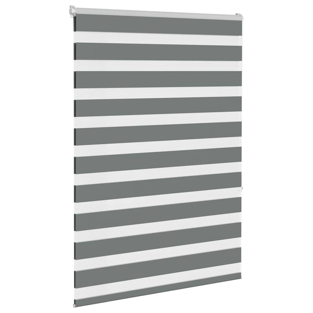 Vidaxl Zebra Roller Blind 100x150 cm Staubbreite 95,9 cm dunkelgrau