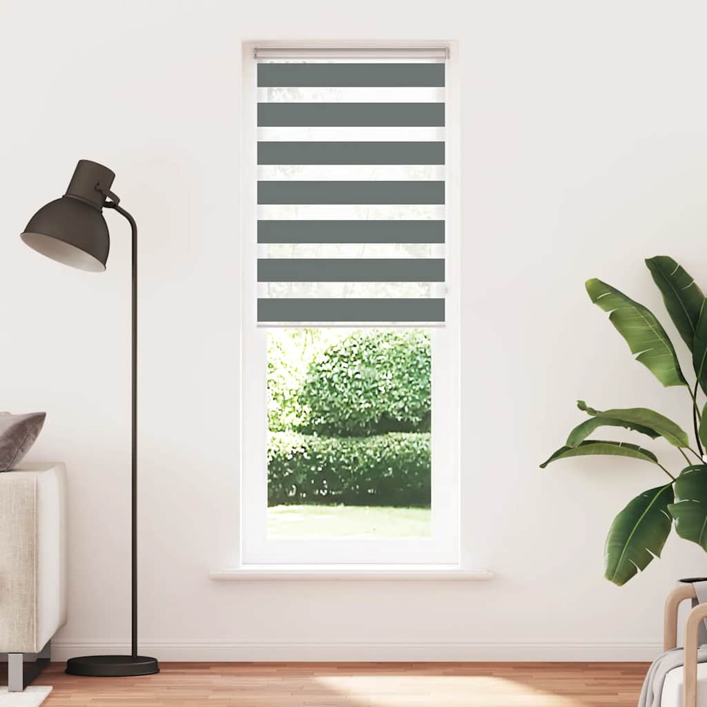 Vidaxl Zebra Roller Blind 70x230 cm Staubbreite 65,9 cm dunkelgrau