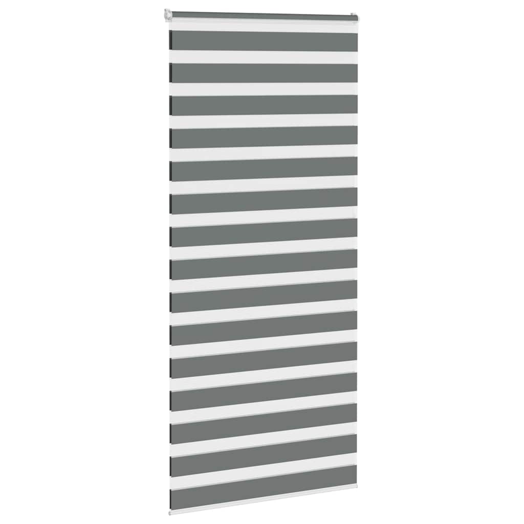 Vidaxl Zebra Roller Blind 100x230 cm Staubbreite 95,9 cm dunkelgrau