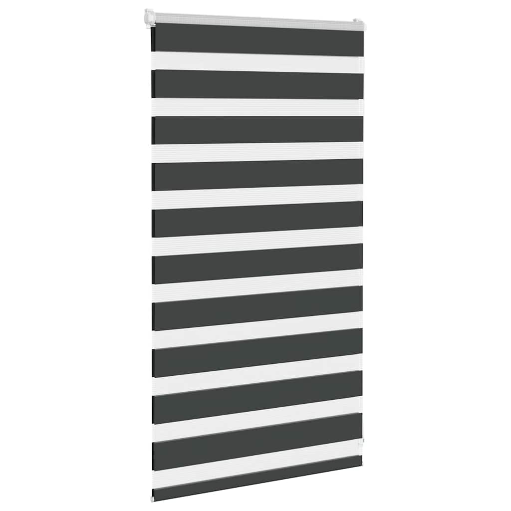 Vidaxl Zebra Roller Blind 70x100 cm Staubbreite 65,9 cm Schwarz