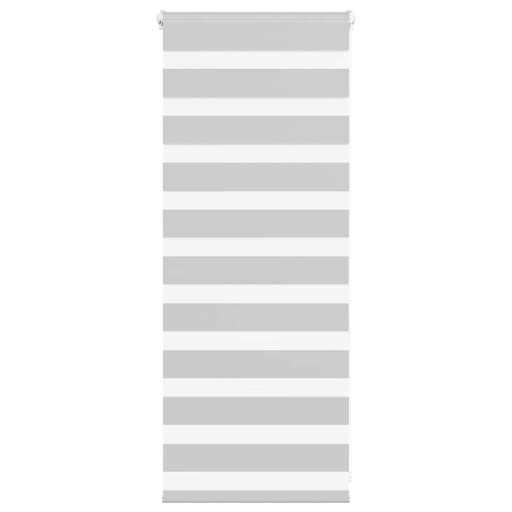 Vidaxl Zebra Roller Blind 55x100 cm Stoffbreite 50,9 cm hellgrau