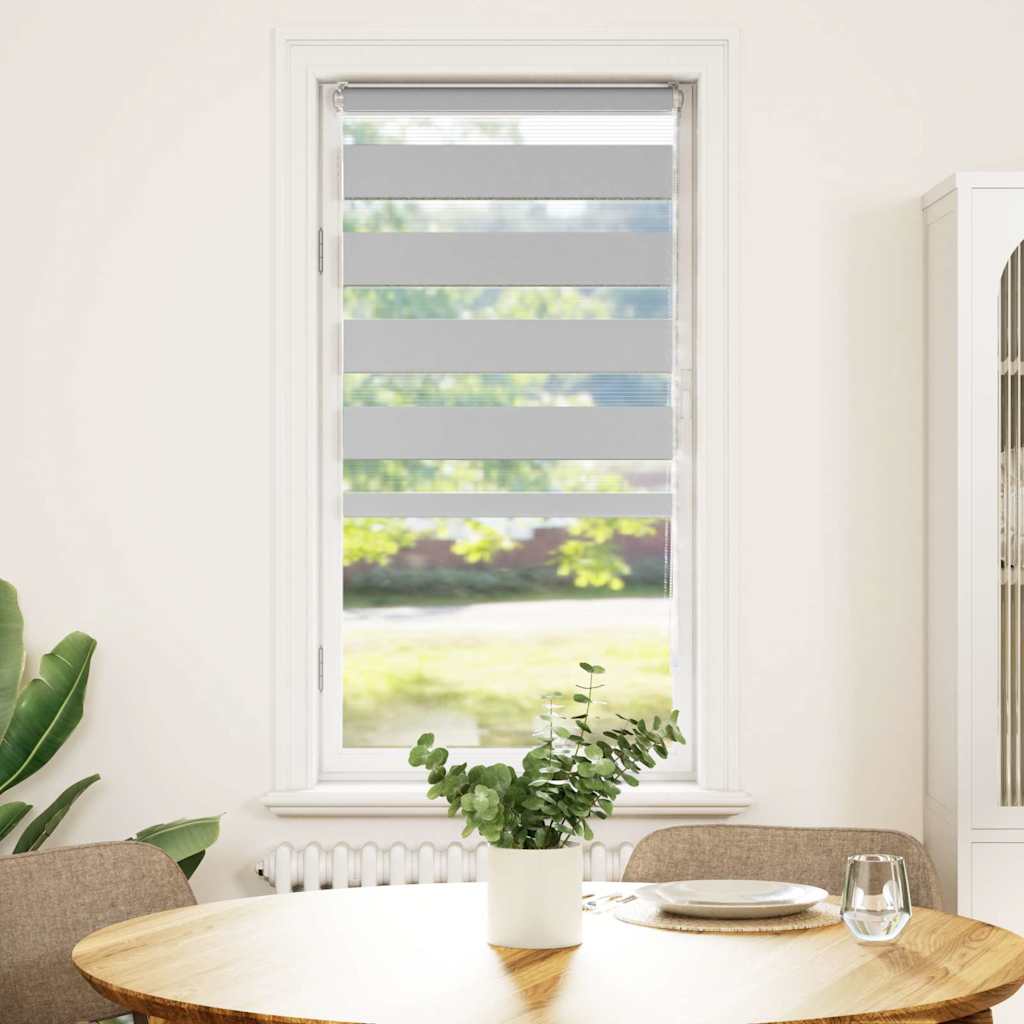 Vidaxl Zebra Roller Blind 55x100 cm Stoffbreite 50,9 cm hellgrau
