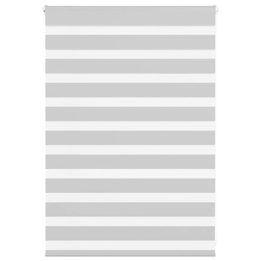 Vidaxl Zebra Roller Blind 95x100 cm Stoffbreite 90,9 cm hellgrau