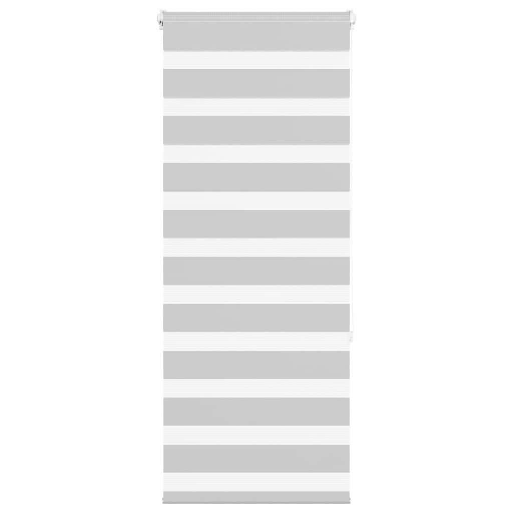 Vidaxl Zebra Roller Blind 60x150 cm Staubbreite 55,9 cm hellgrau