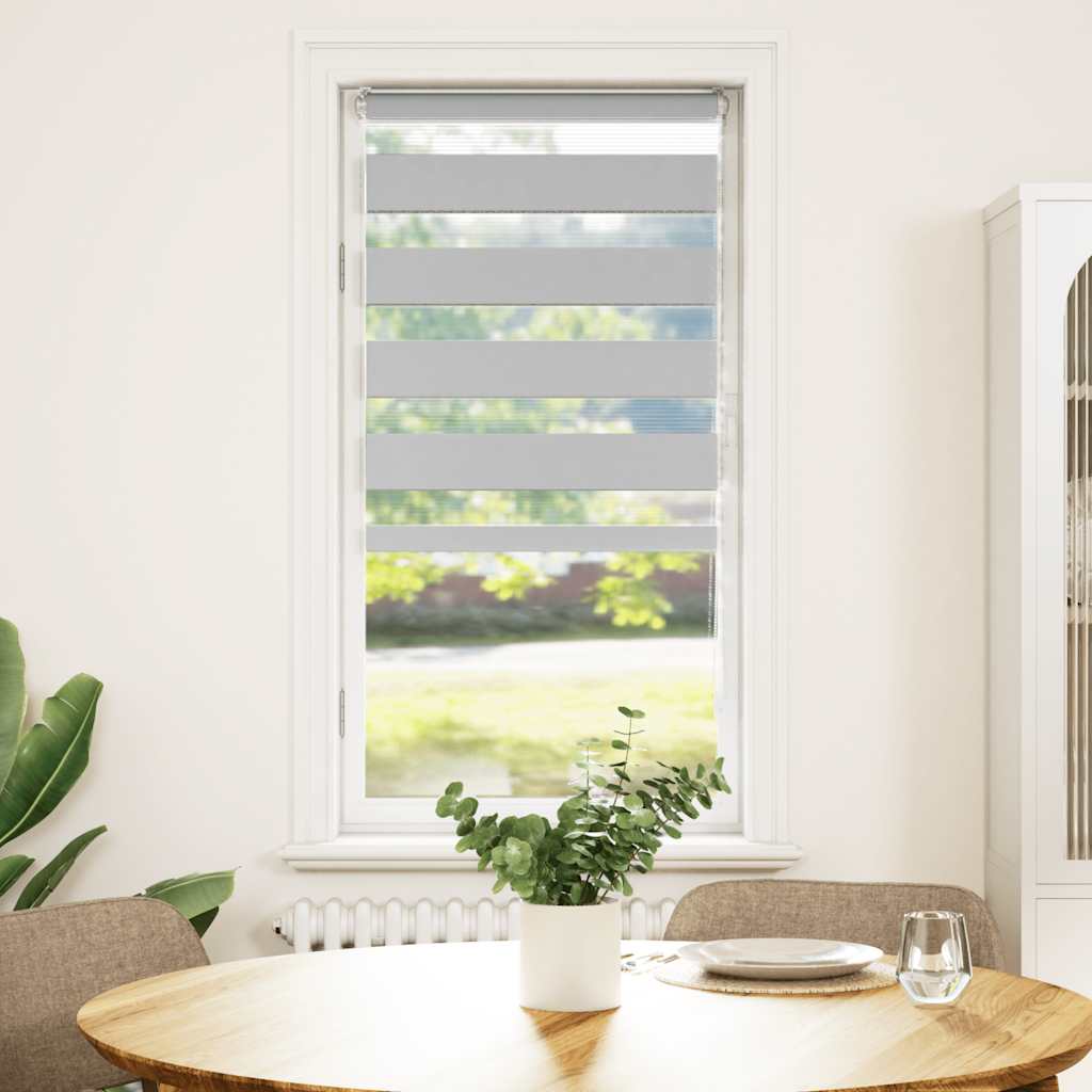 Vidaxl Zebra Roller Blind 60x150 cm Staubbreite 55,9 cm hellgrau