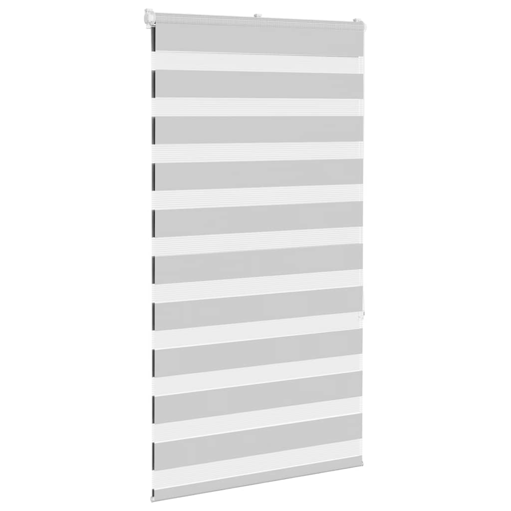 Vidaxl Zebra Roller Blind 70x150 cm Staubbreite 65,9 cm hellgrau