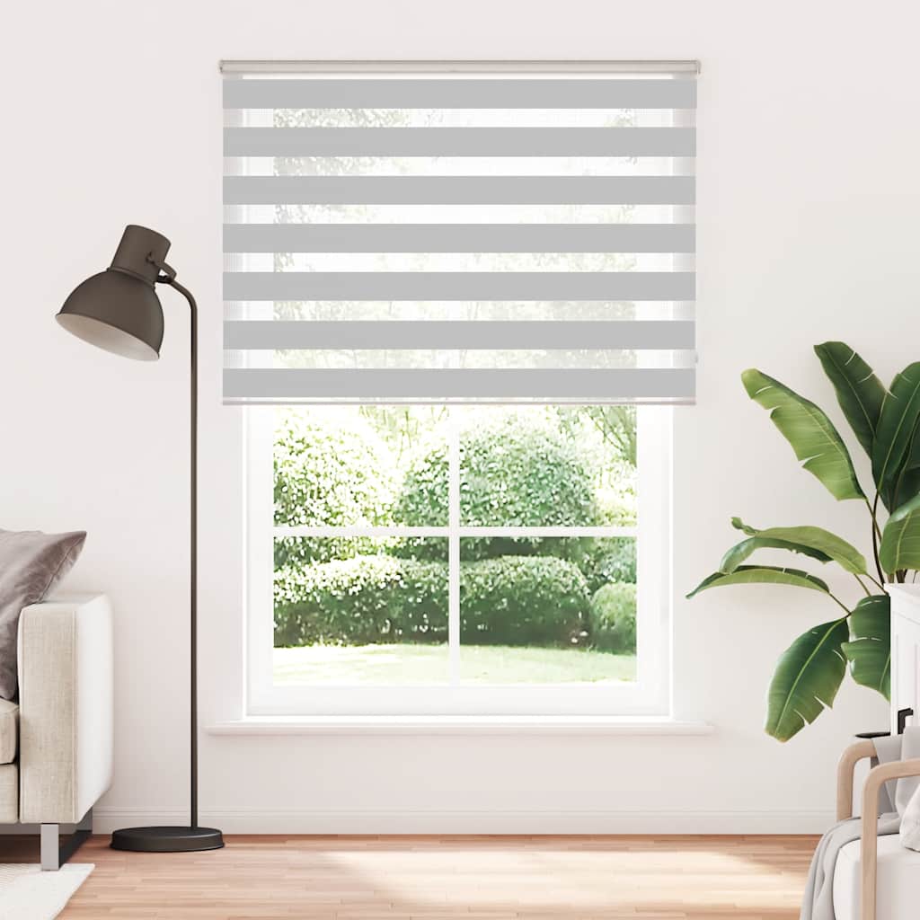 Vidaxl Zebra Roller Blind 165x200 cm Stoffbreite 160,9 cm hellgrau