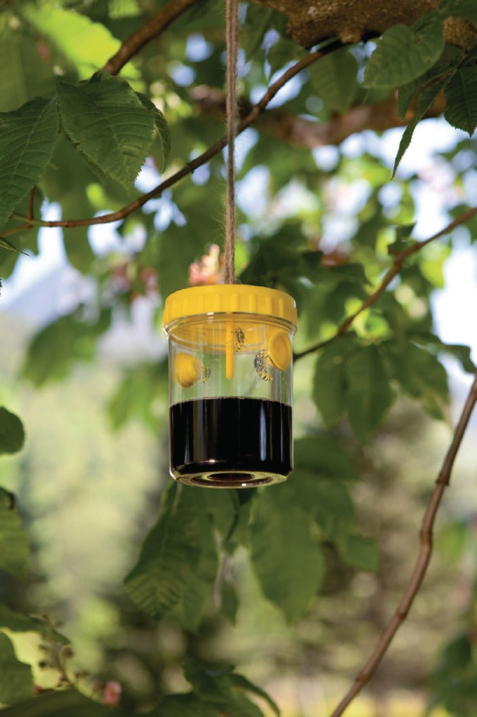 Windhager wh-03103 Wespenfalle, Doppelpack