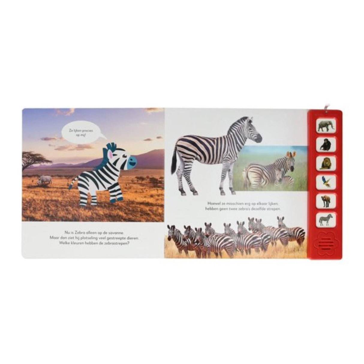 Mondi cards listen to wild animal sounds book