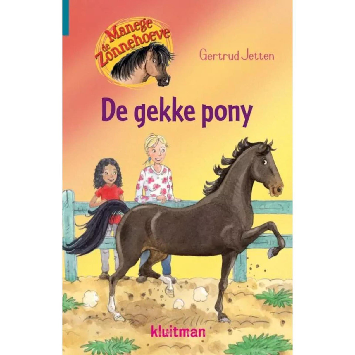 Kluitman manege de zonnehoeve- de gekke pony